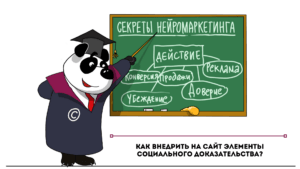 Как внедрить на сайт элементы социального доказательства?